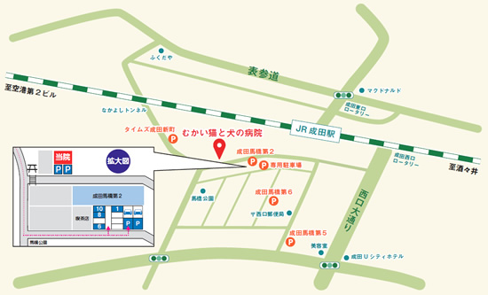 むかい猫と犬の病院 駐車場地図